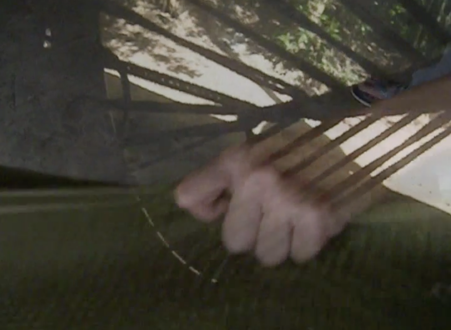 close up of hand holding fabric with overlay of plants