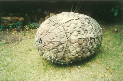 round woven cocoon-like structure on grass