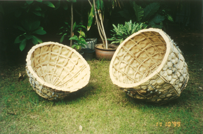 two hollow woven cocoon-like structures on grass.