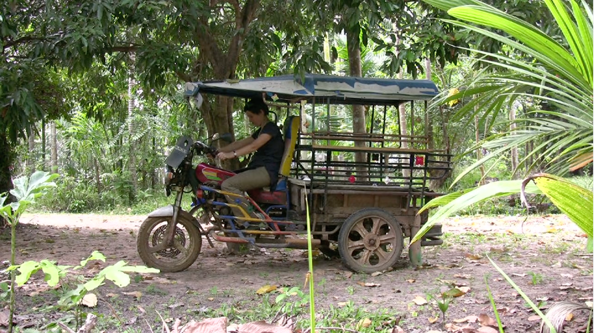 Portrait of Lena Eriksson