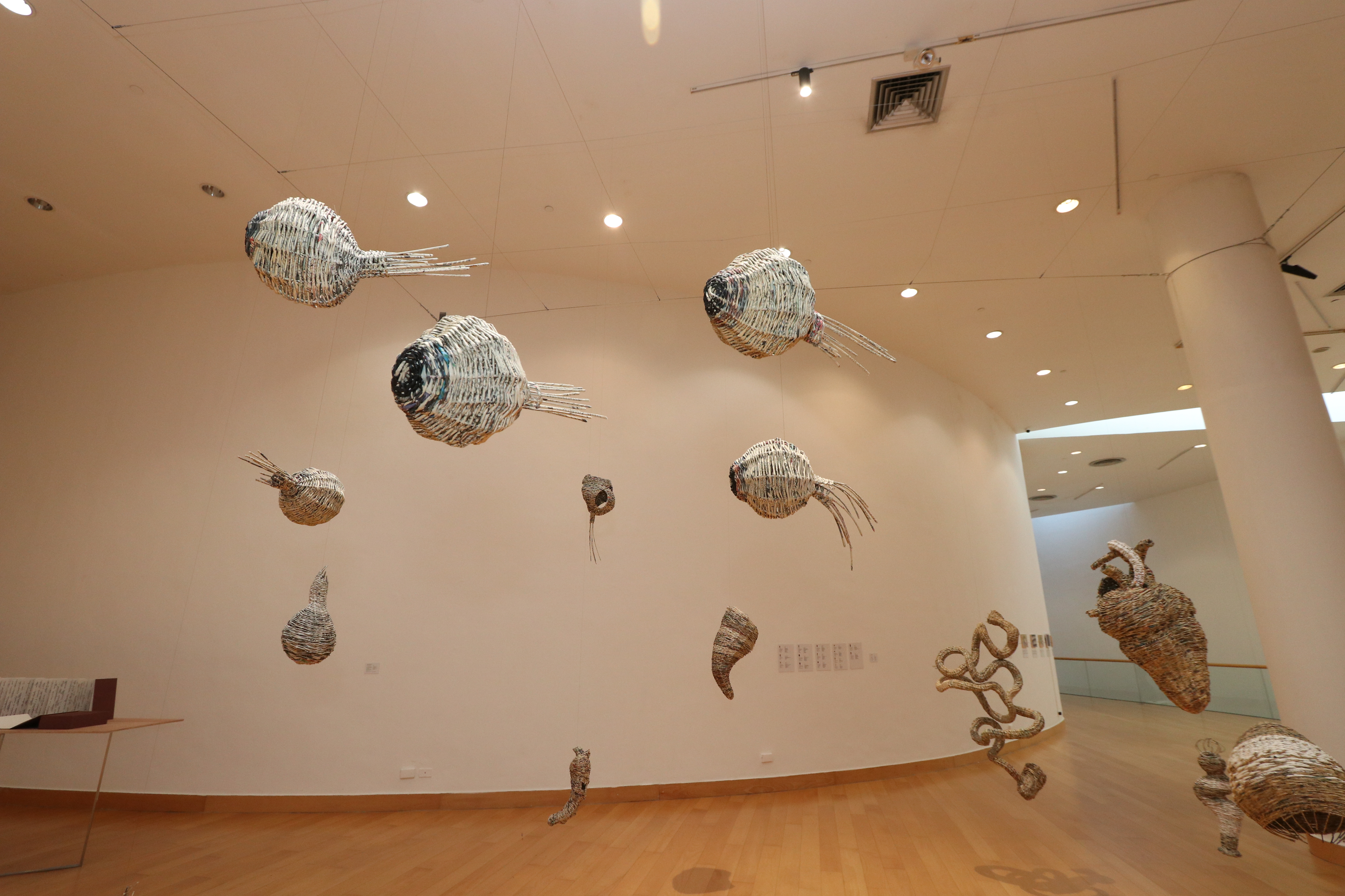 Baskets of experience