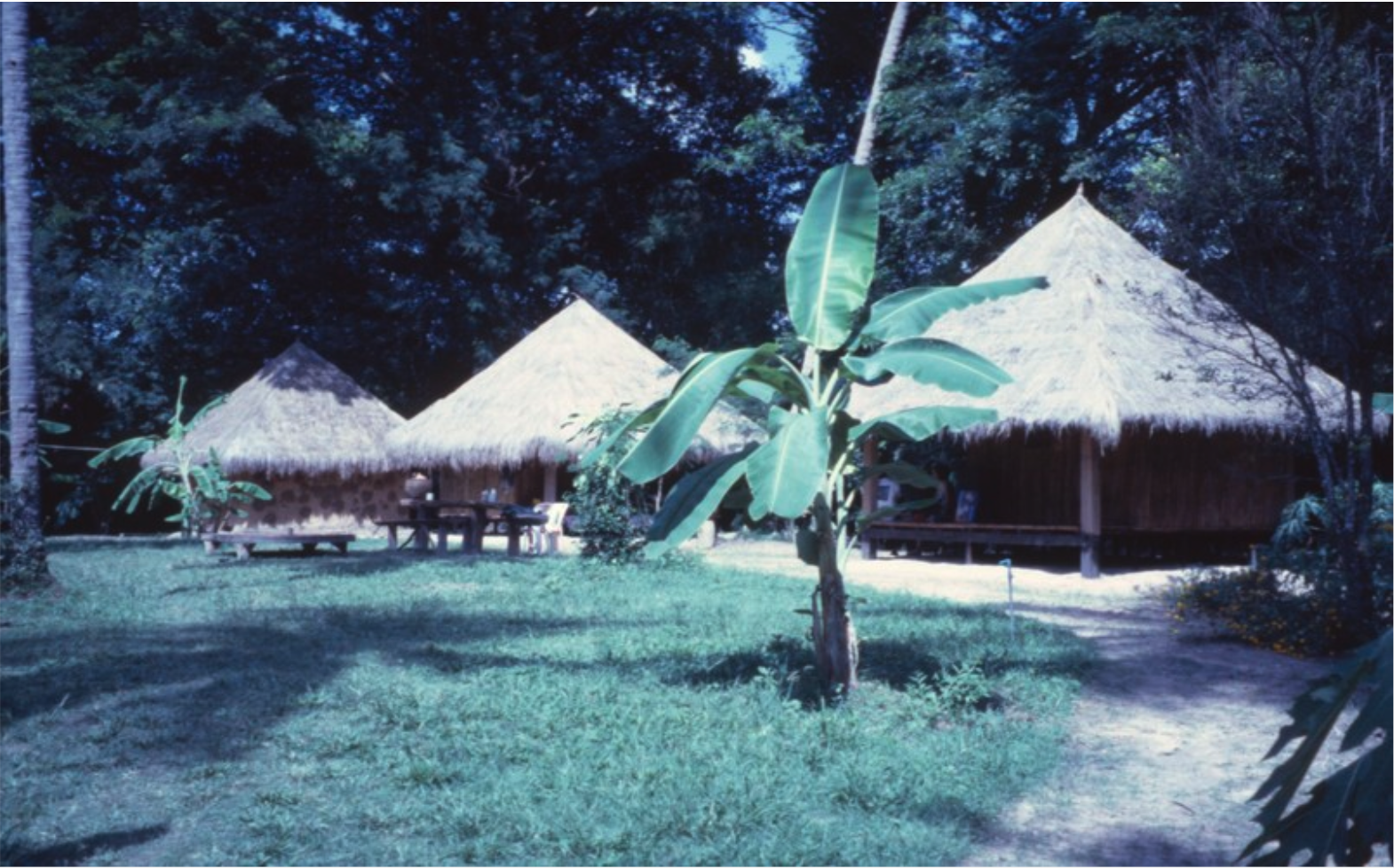 Boon Bandarn Farm, location for the Womanifesto Workshop 2001