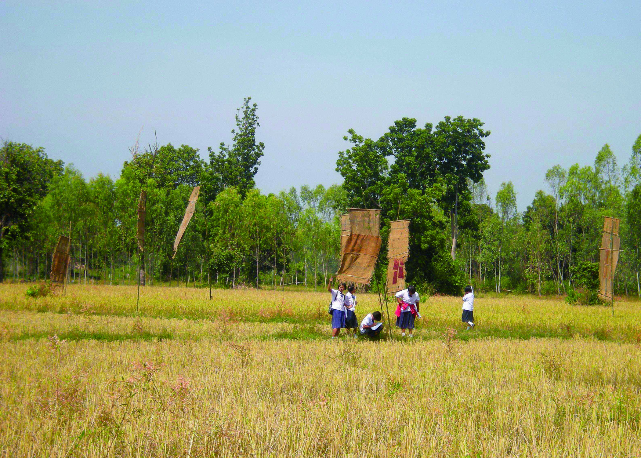 landscape with grass and trees. People walk toward the trees at the back.
