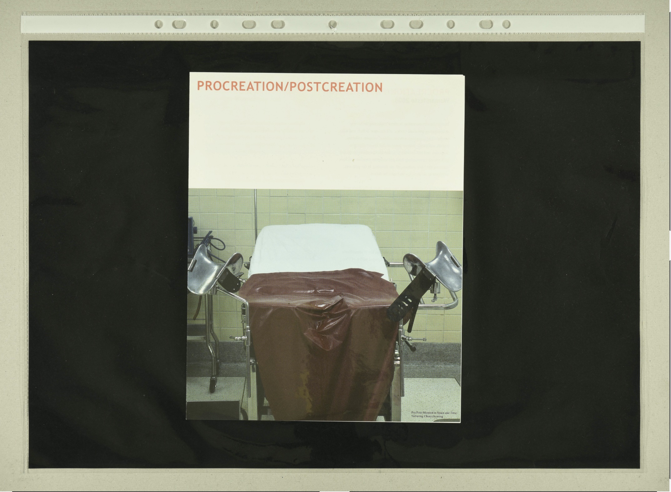 Procreation Postcreation title page