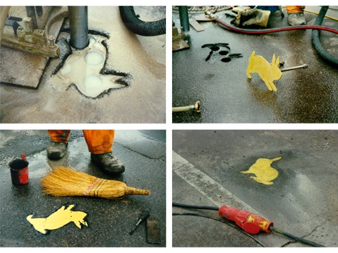 rabbits_at_no_mans-land Karla Sachse