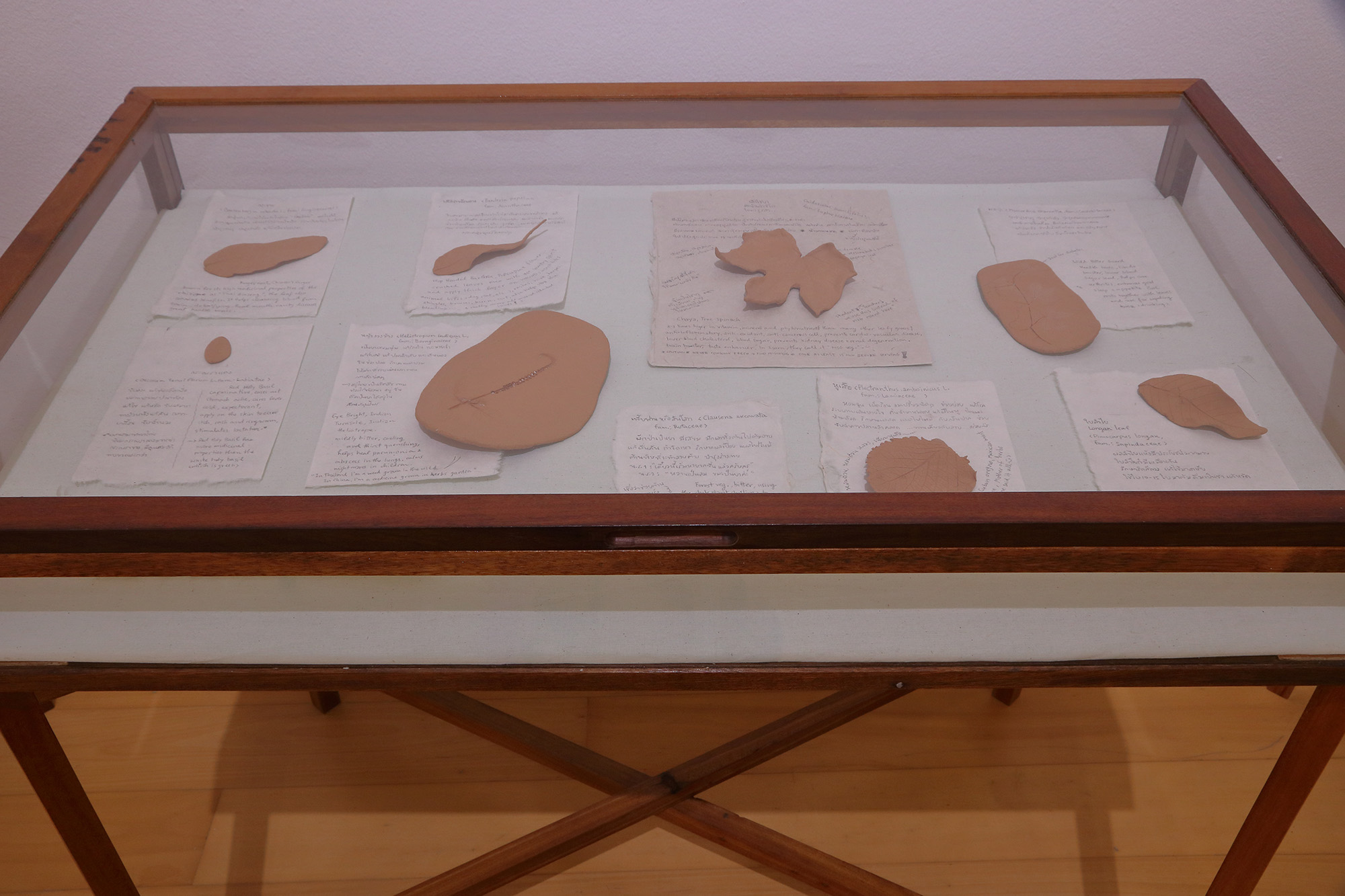 display case containing clay leaves