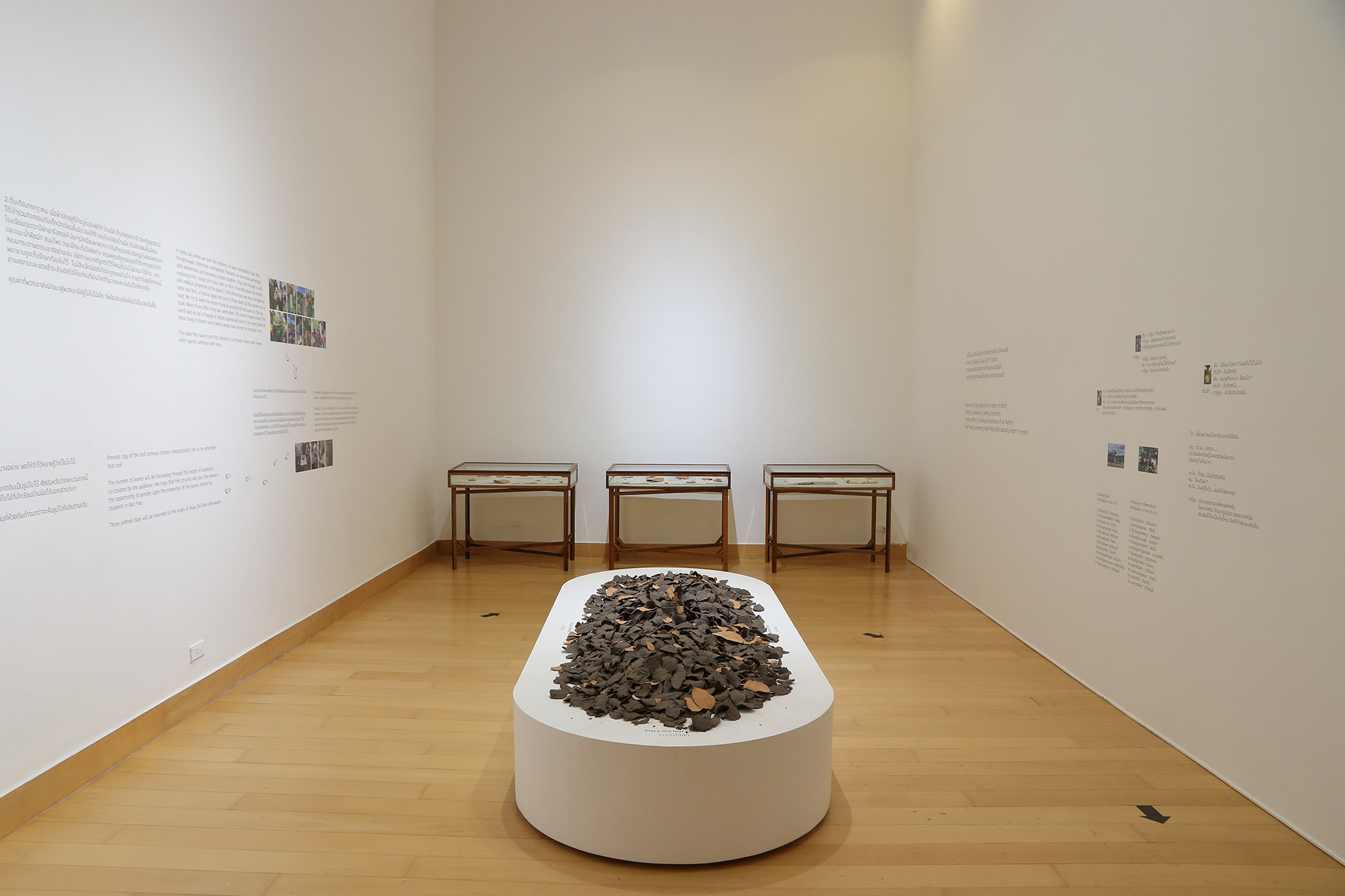 exhibition room with centred oval plinth with clay leaves
