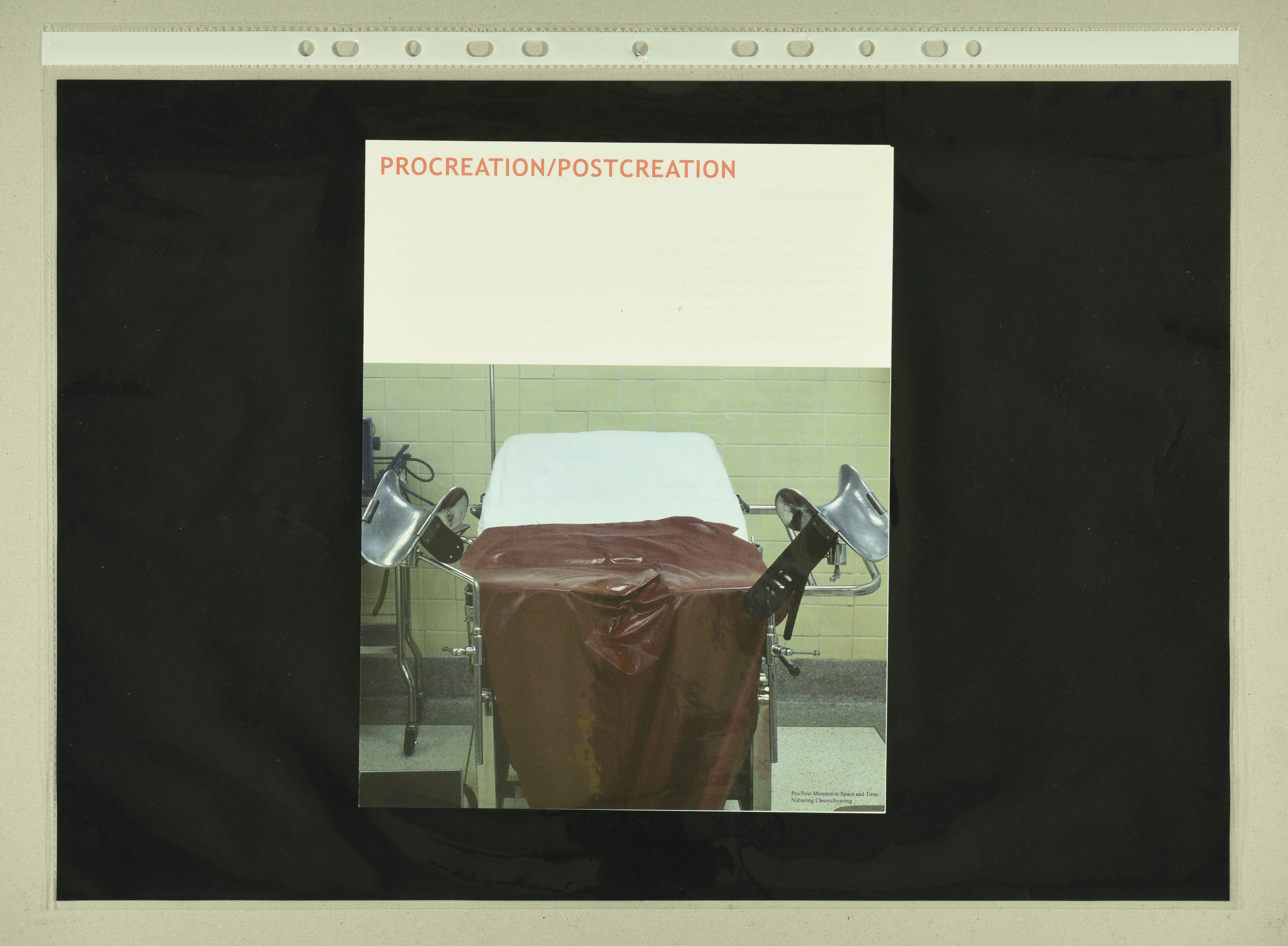 Procreation/Postcreation Publication cover