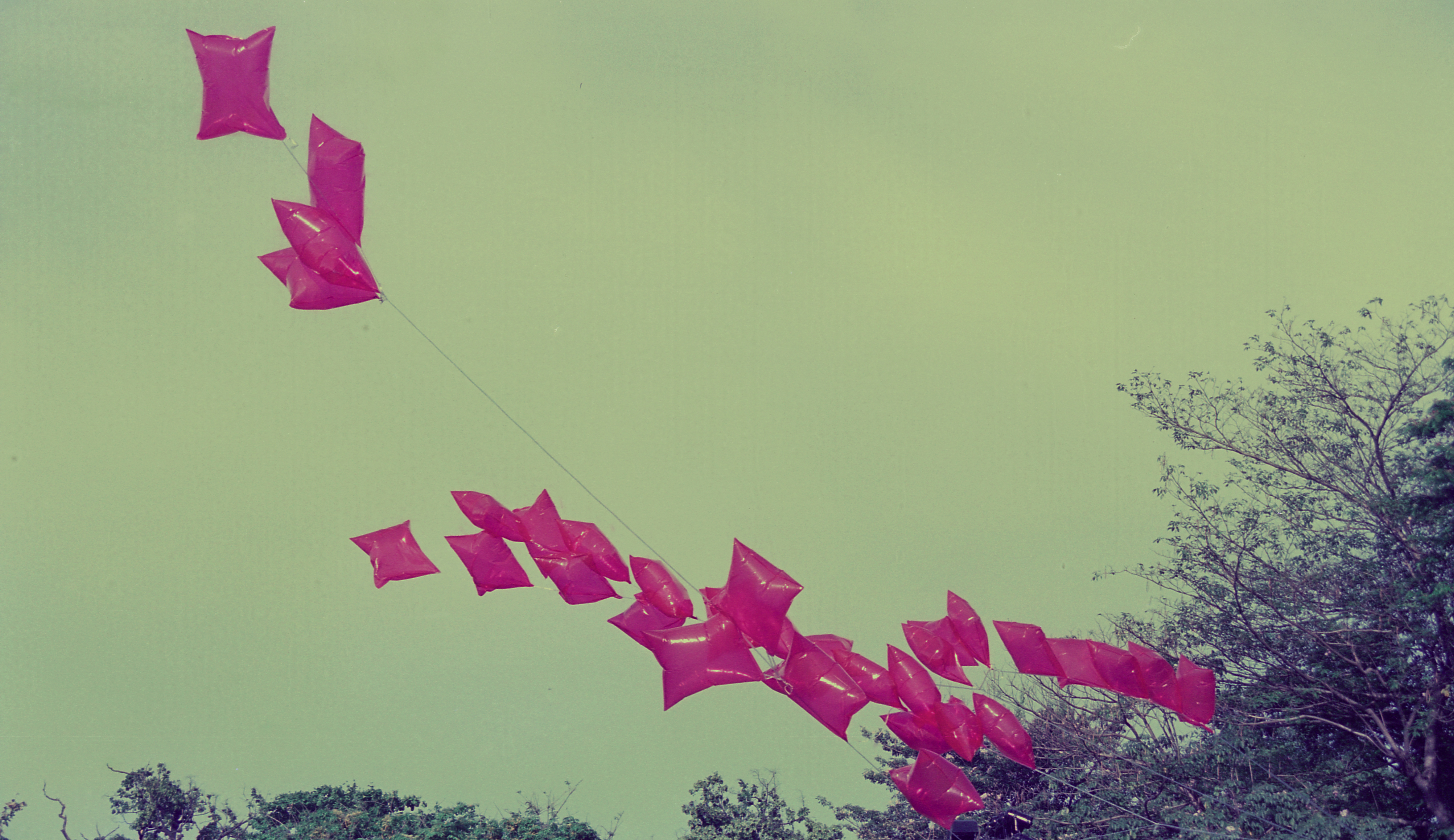 Body Installation (Set of 7 Photographs)