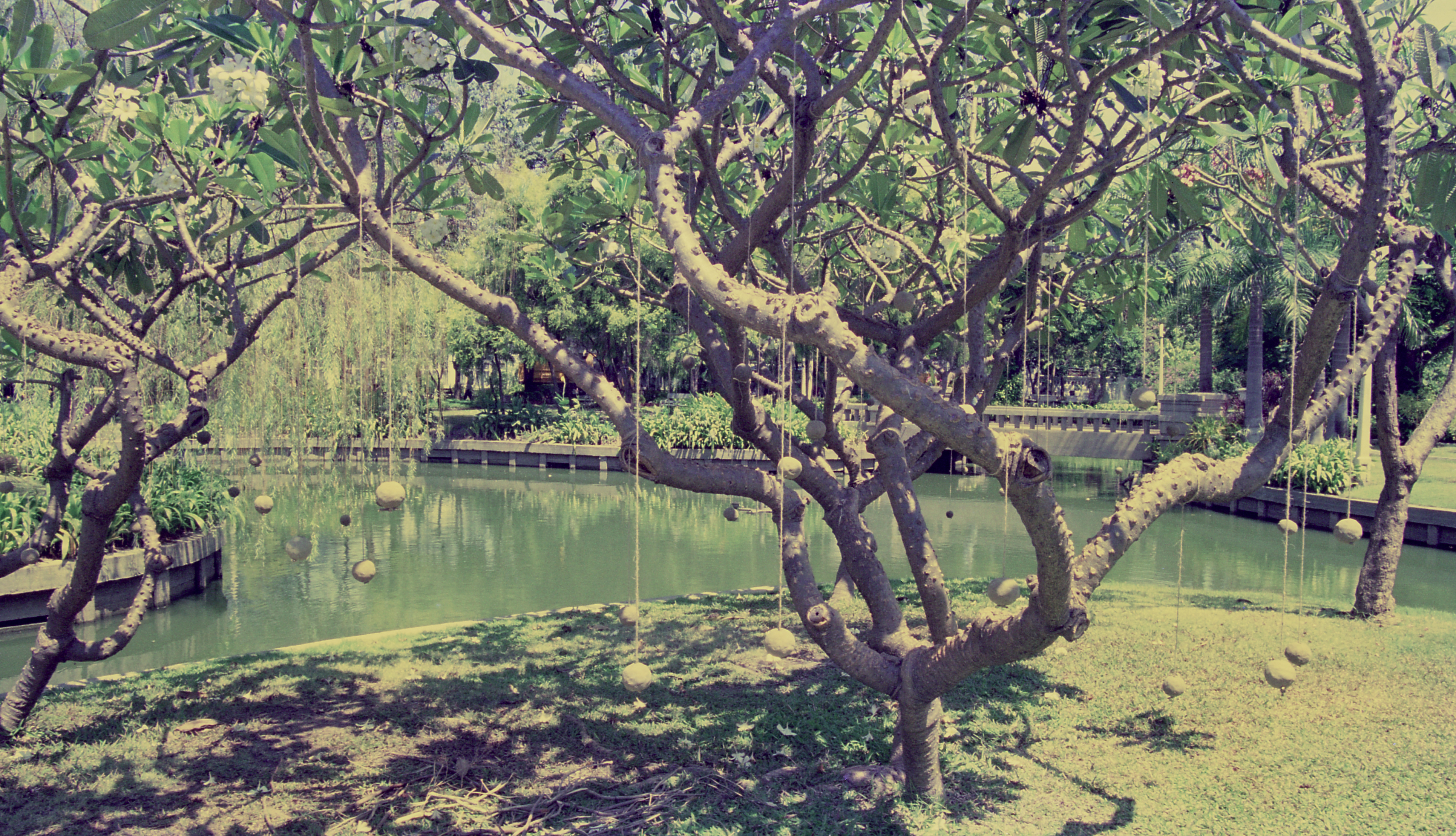 Stand Beside the River (Set of 2 Photographs)