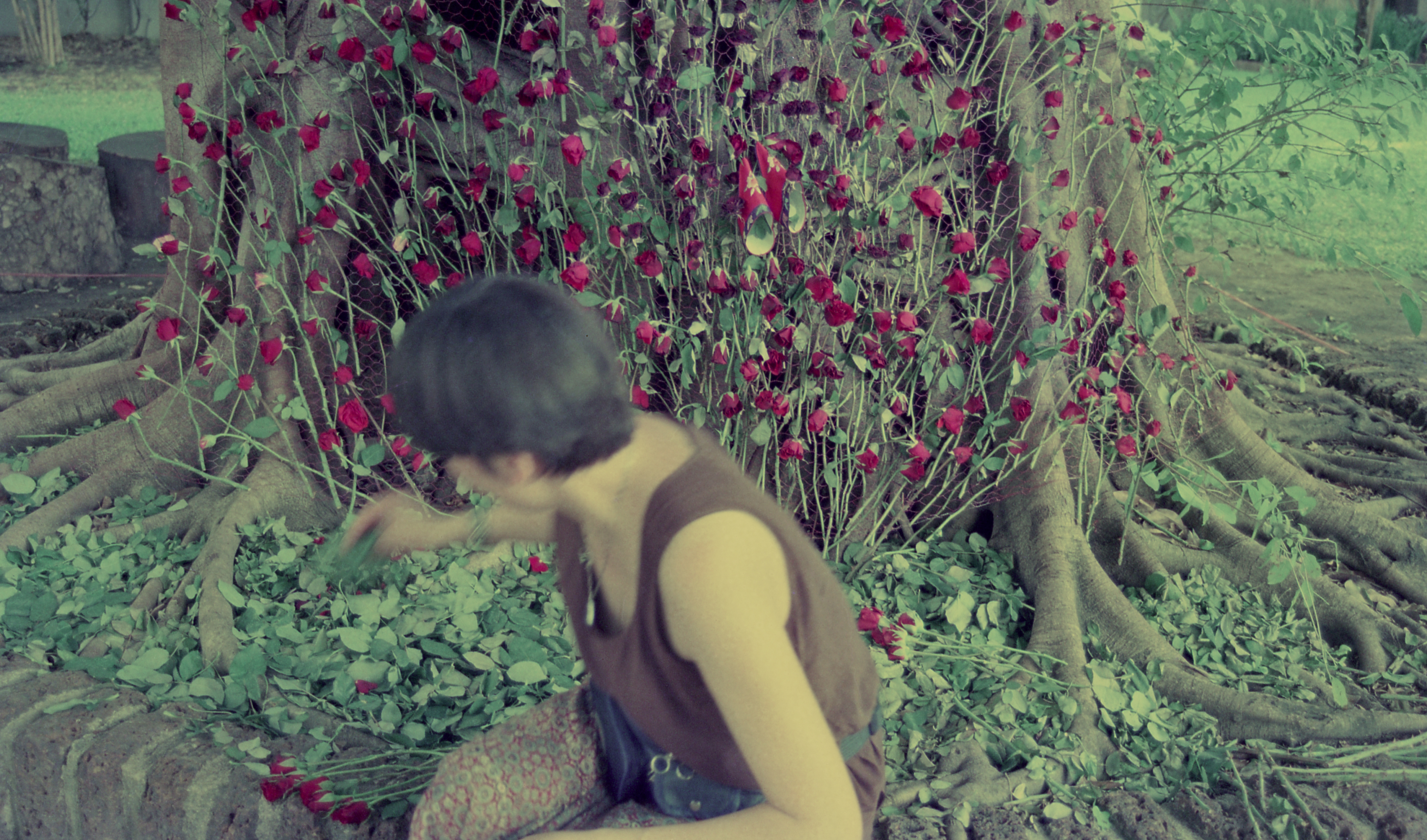 Women's Cemetery — Preparation