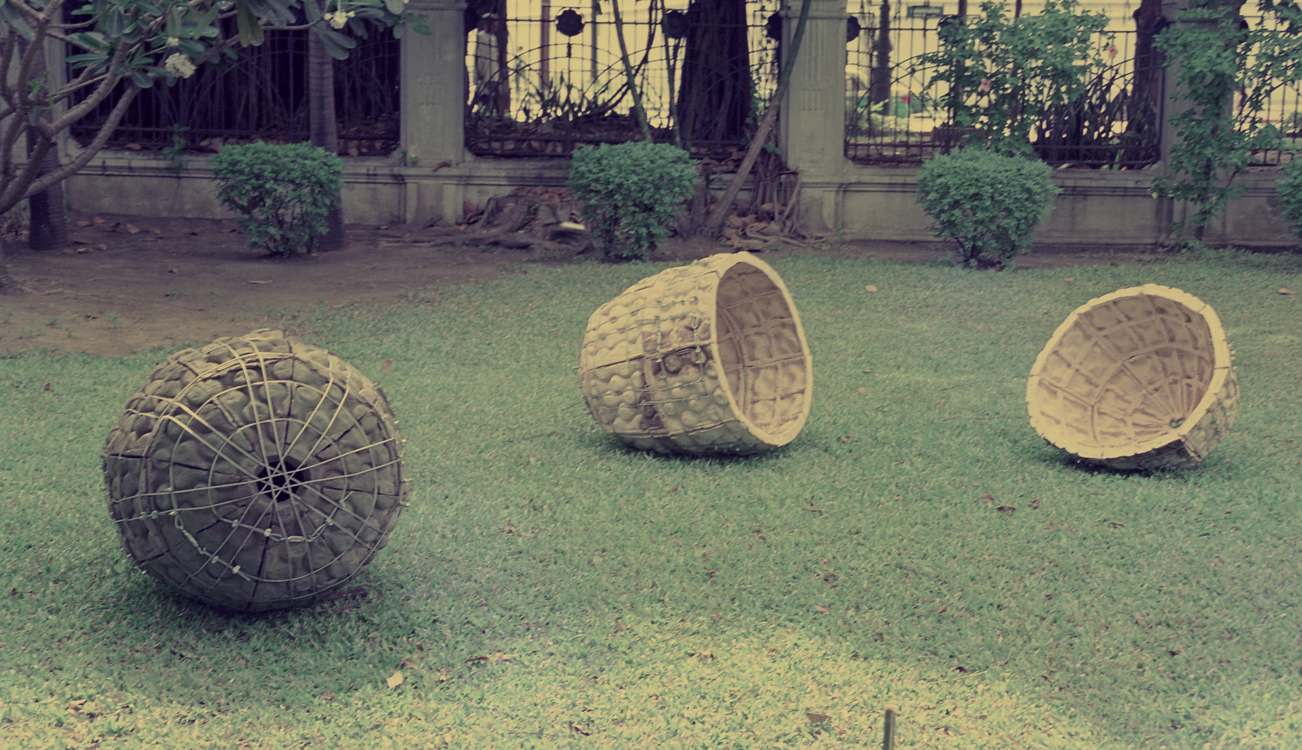 The Origins of the Park (Set of 2 Photographs)