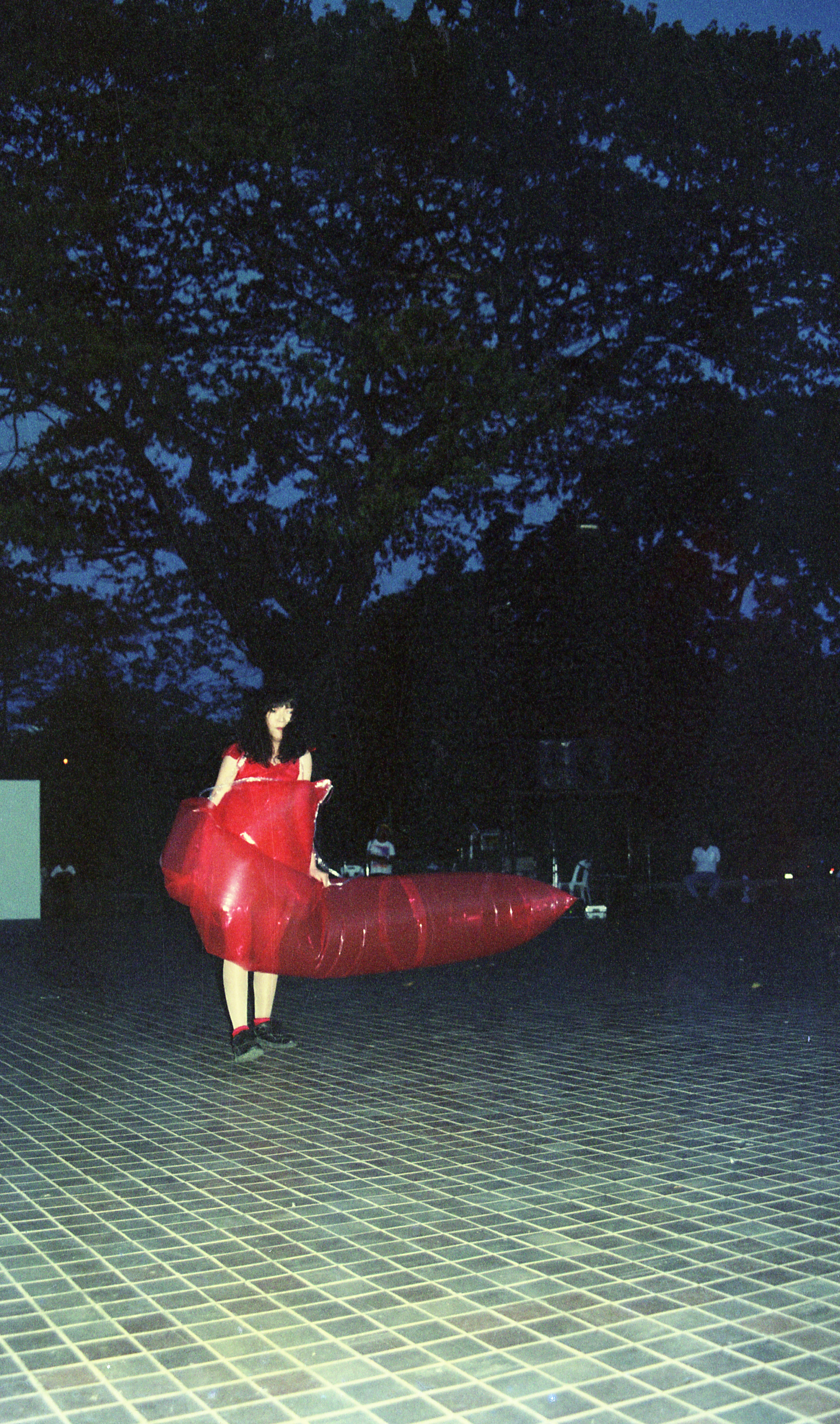 Body Installation (Set of 4 Photographs)