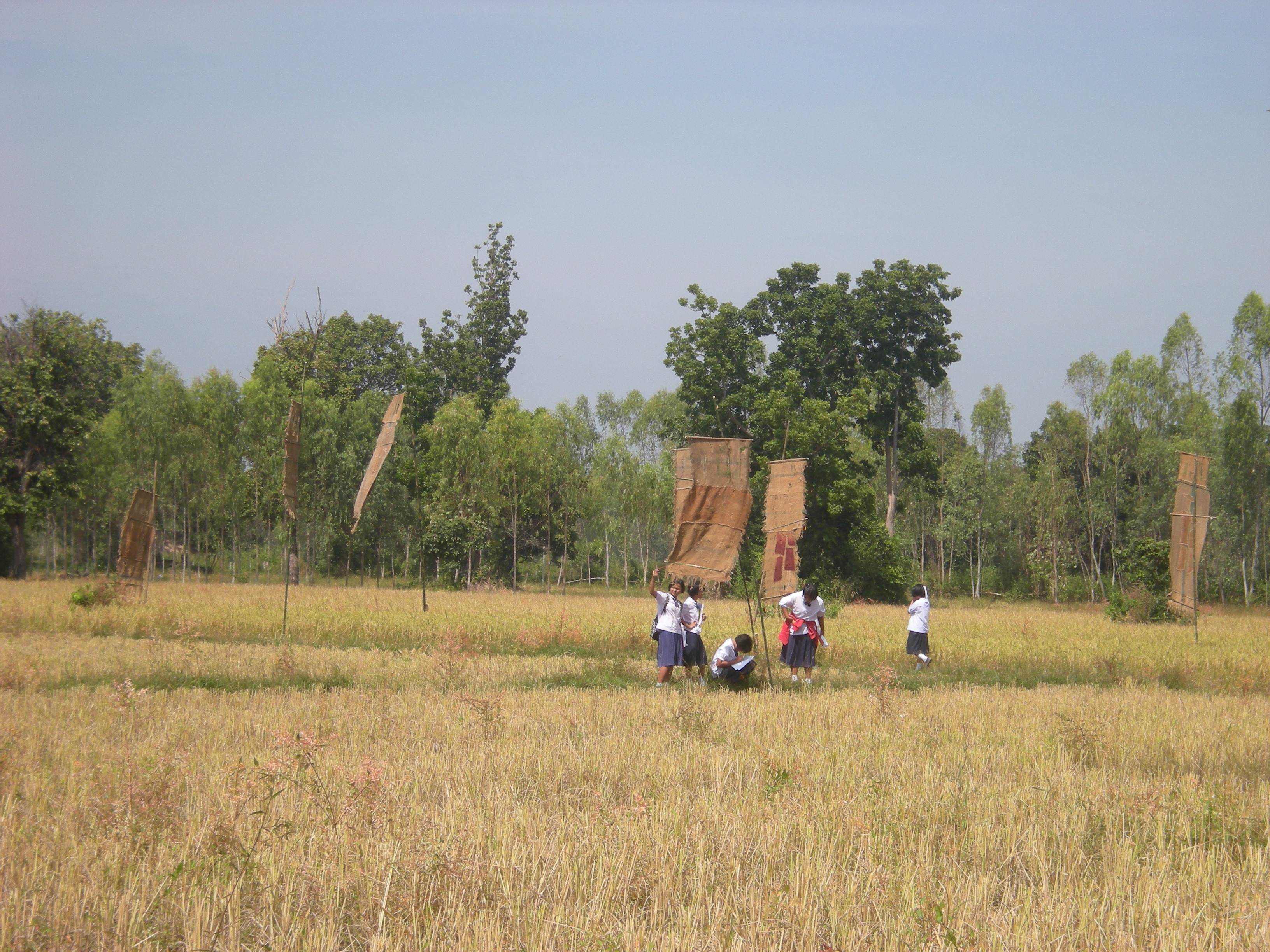 Kor Kwaay Dong Khao Na…Kor Khon Dong Khueng Khang
