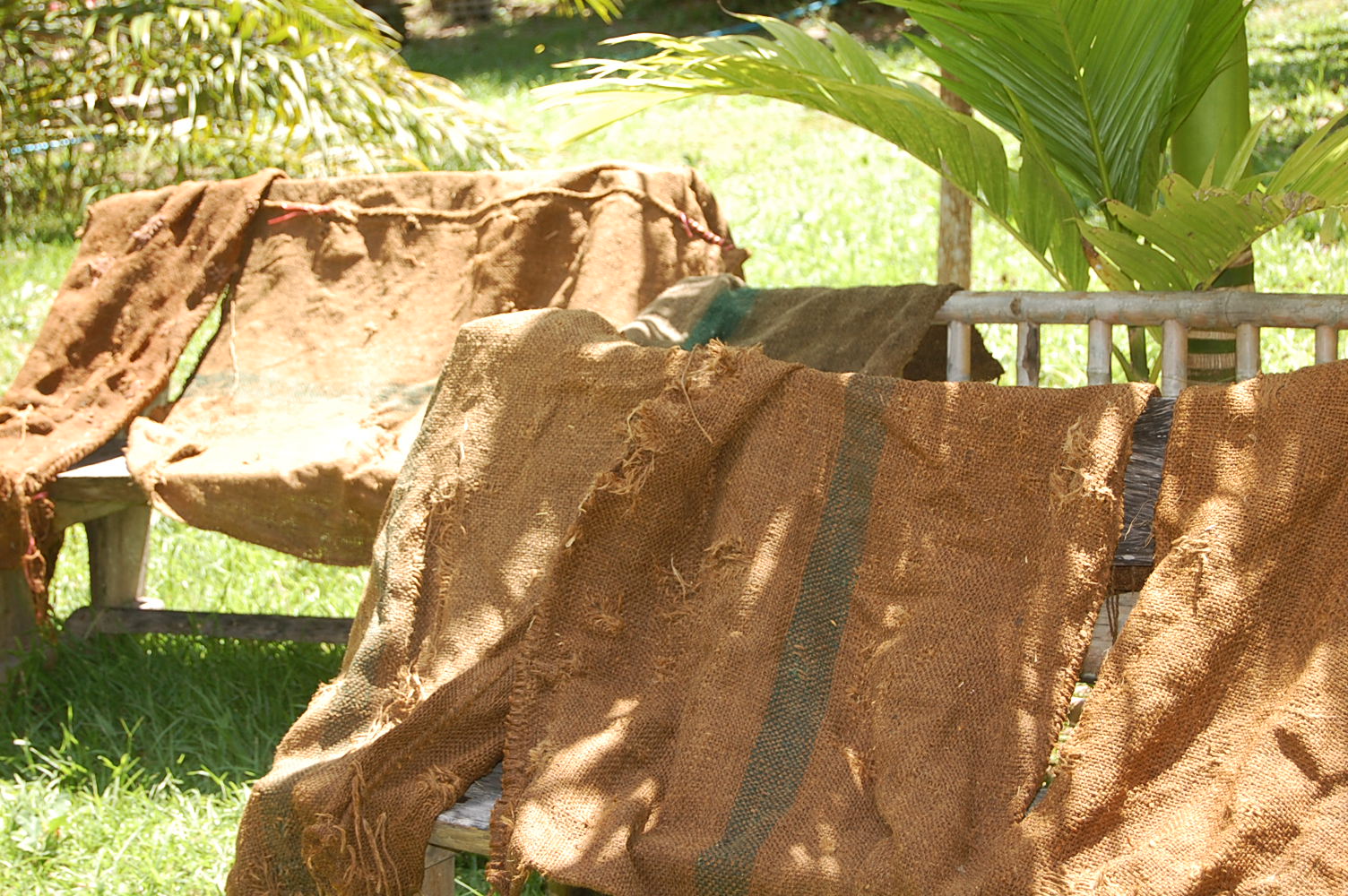 Kor Kwaay Dong Khao Na…Kor Khon Dong Khueng Khang — Preparation