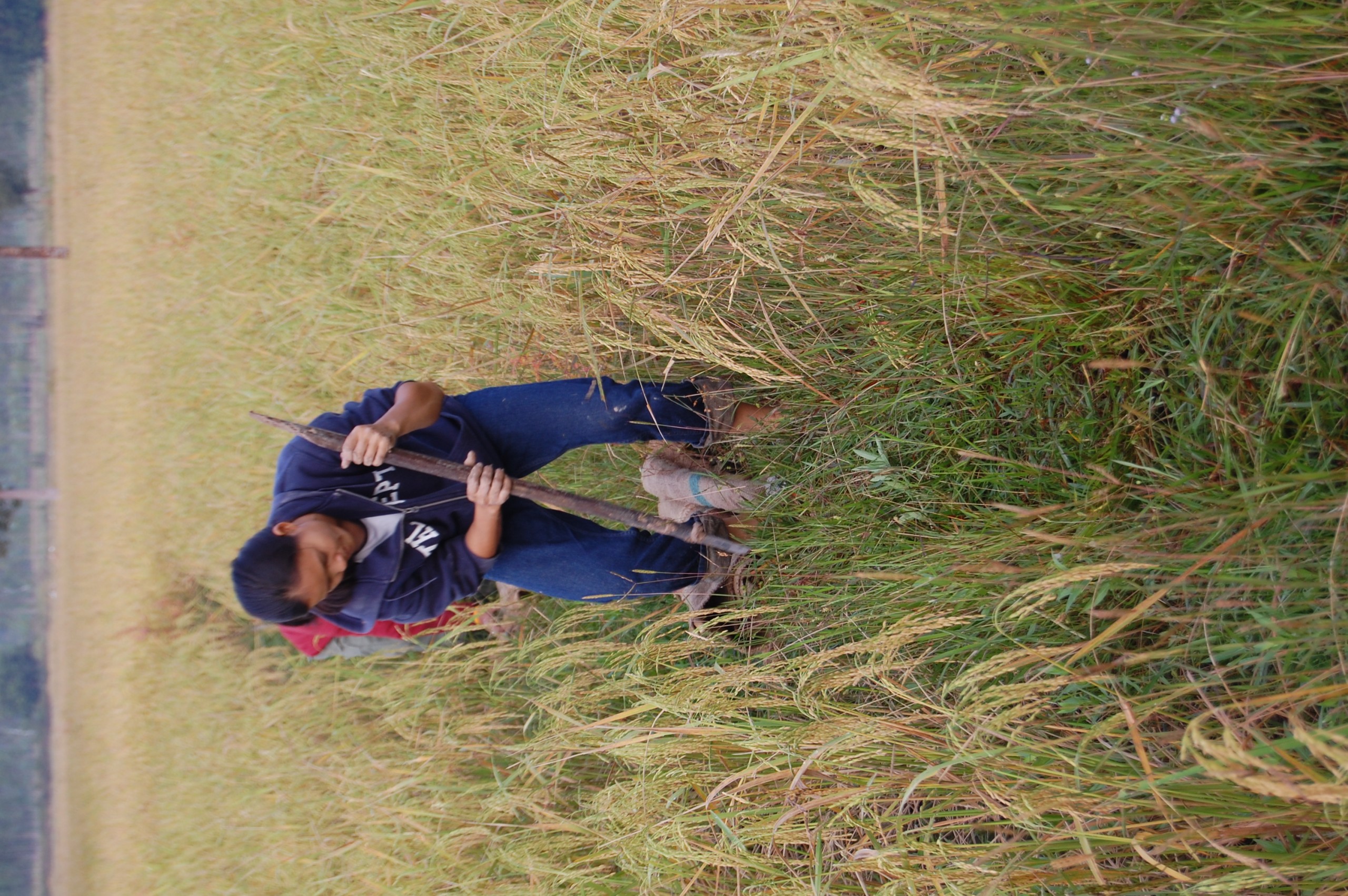 Naruemon Padsamran's Residency at Womanifesto (Set of 63 Photographs)