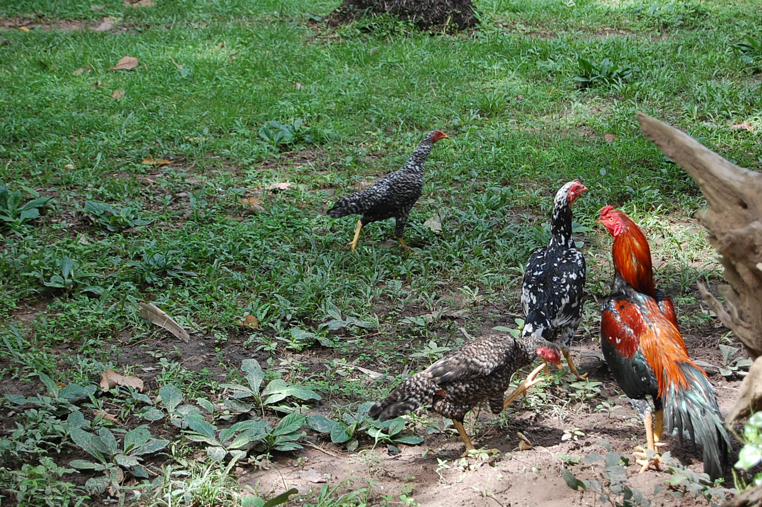 Womanifesto Residency Everyday Activities (Set of 115 Photographs)