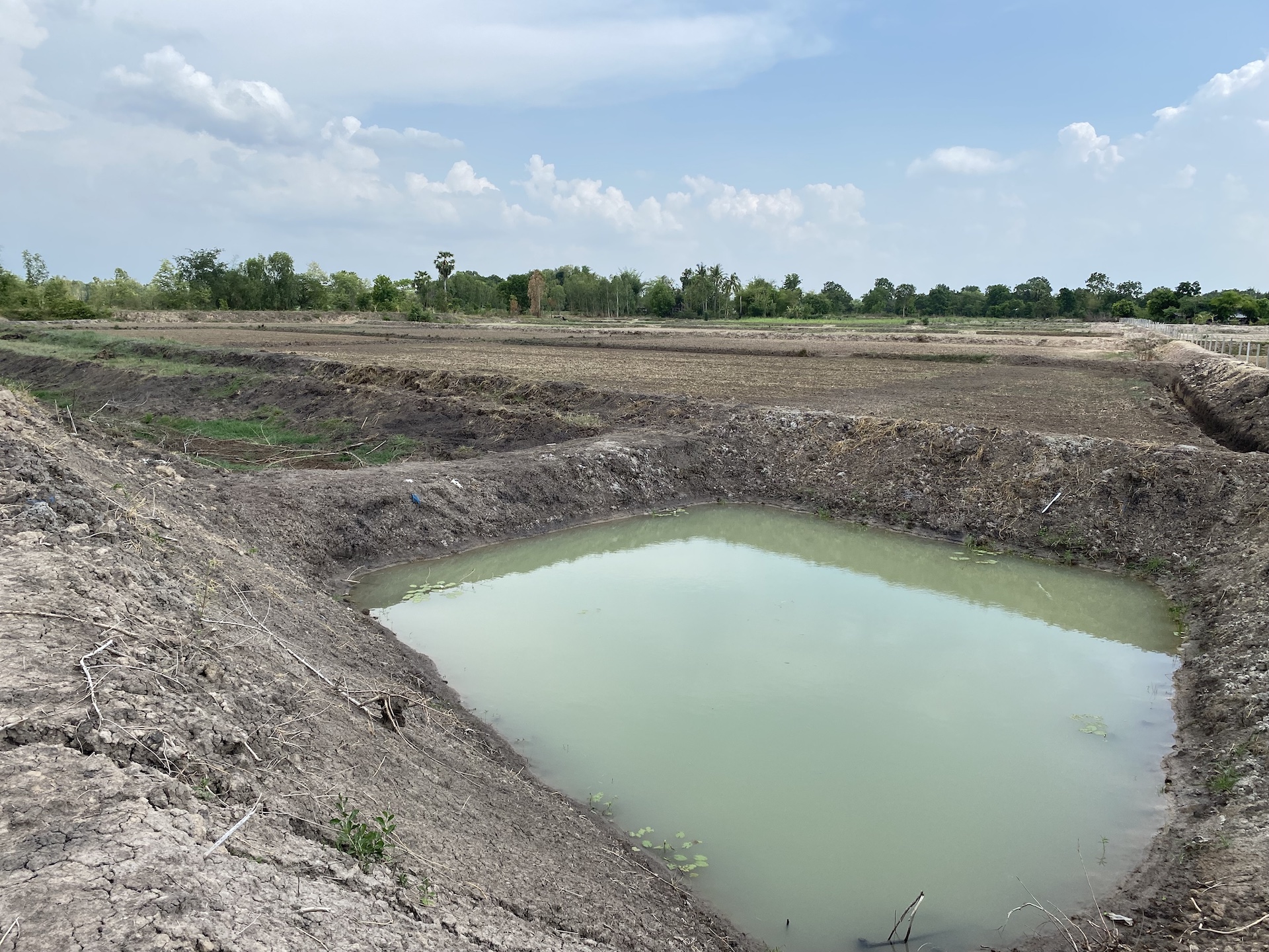Huay Din Dam marsh, Full circle clay collection
