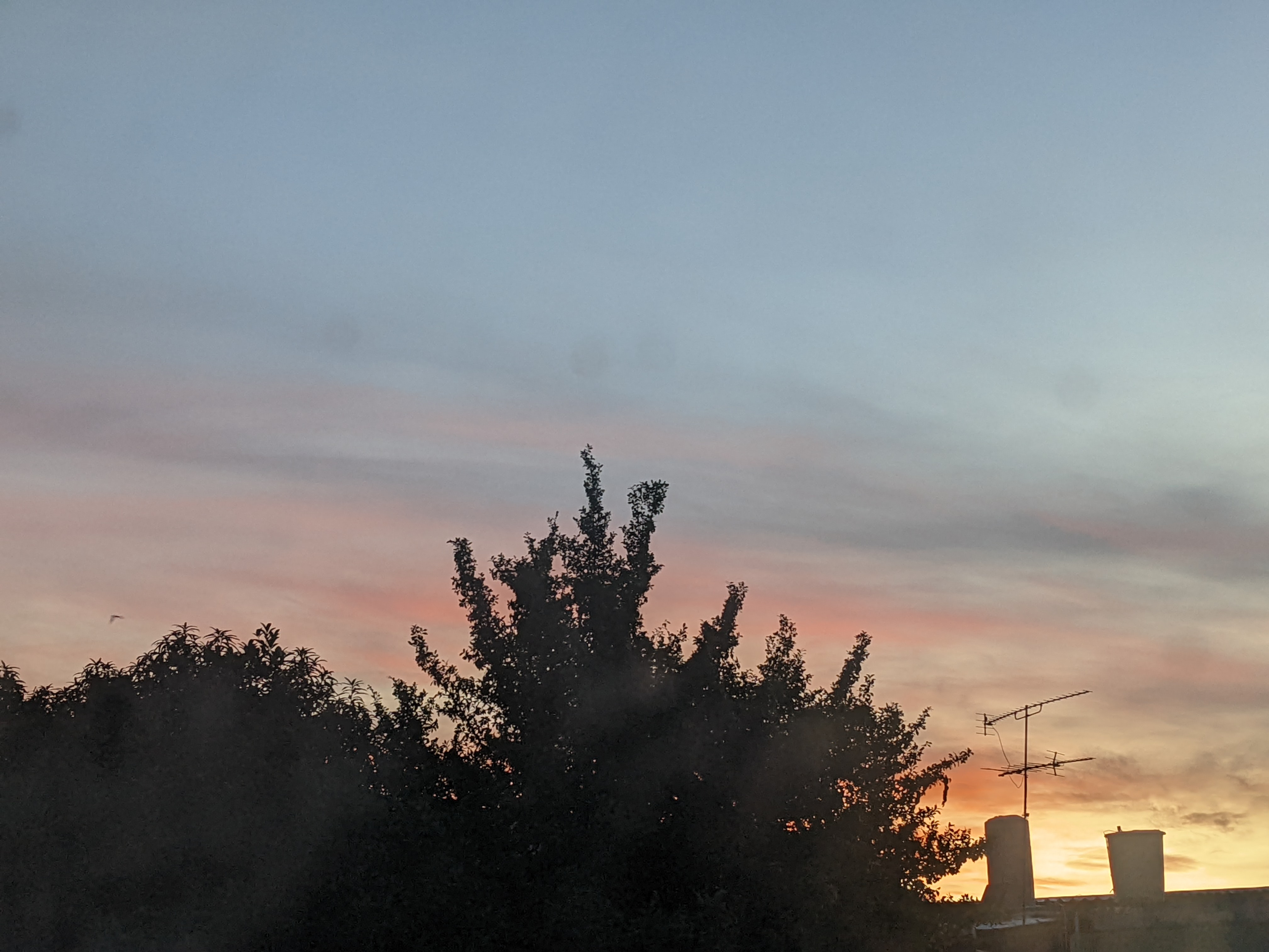 Phaptawan Window View_Womanifesto Way Conversation