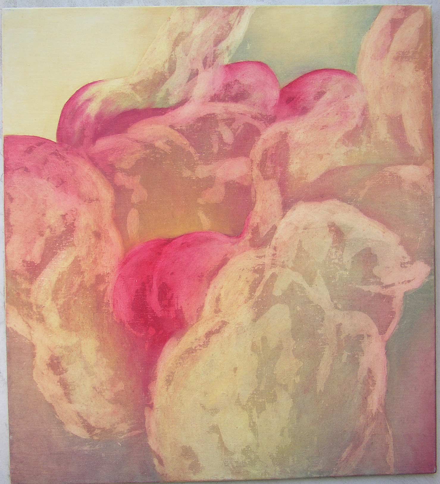 Video/Sound Installation by Jana Francova and Oil Paintings by Jan Bruzenak (Set of 3 Photographs)