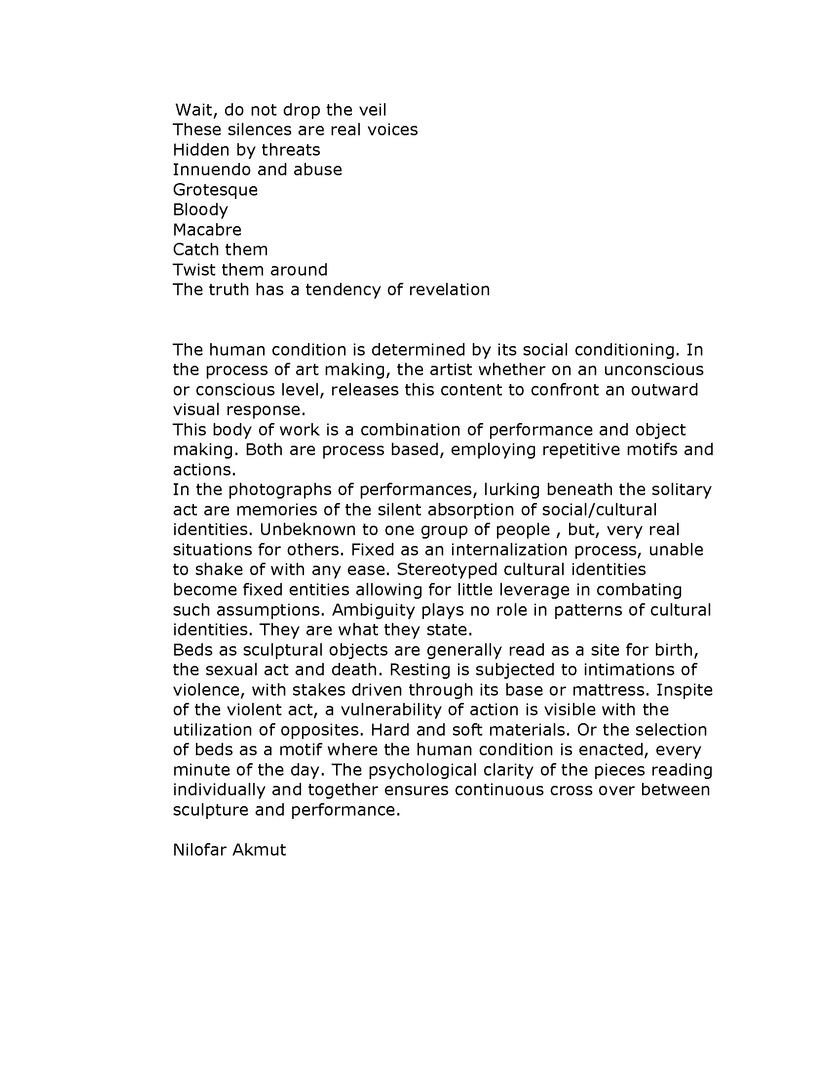 Artist Statement and Work Caption by Nilofar Akmut