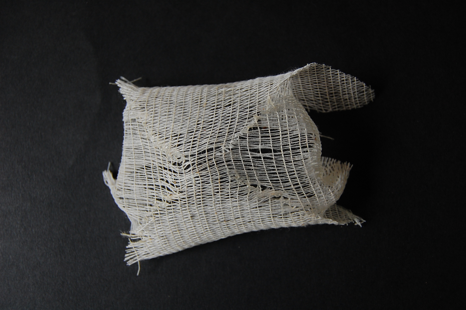 Casting Off a Memory — Detail (Set of 4 Photographs)