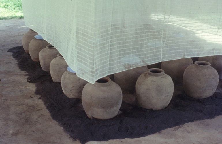 Closing Eyes (Set of 3 Photographs)