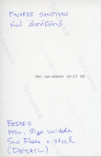 Breasts and Bodies (Set of 6 Photographs)