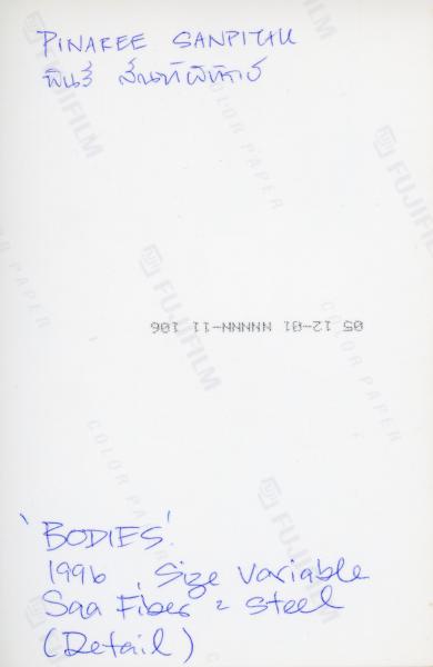 Breasts and Bodies (Set of 6 Photographs)