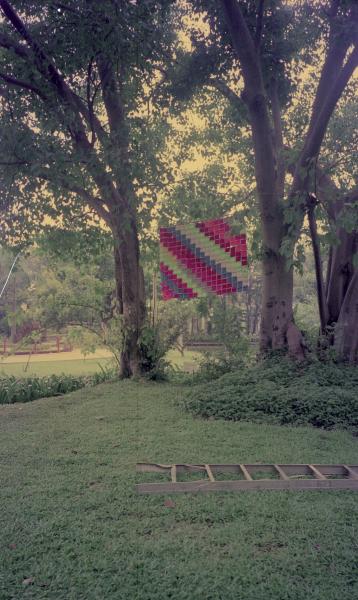 Bags (Set of 6 Photographs)