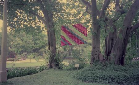 Bags (Set of 6 Photographs)