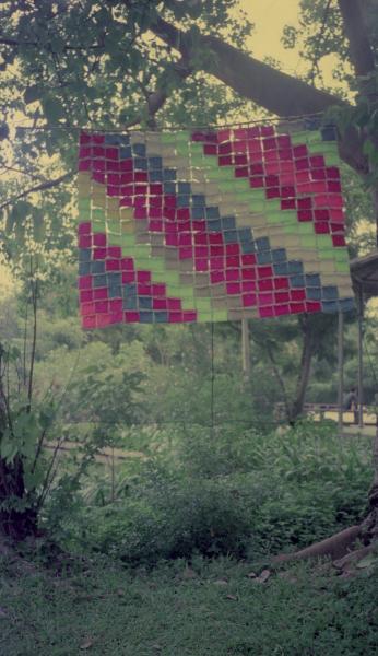 Bags (Set of 6 Photographs)