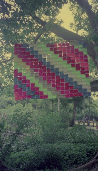 Bags (Set of 6 Photographs)