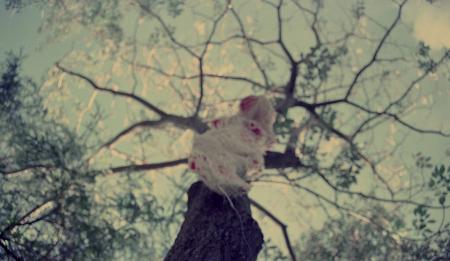 Spirit Hanging (Set of 4 Photographs)