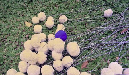 Swept Around in the Wind — Preparation (Set of 3 Photographs)