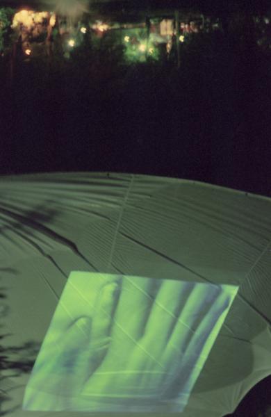 Your Hand Opens and Closes and Opens and Closes (Set of 16 Photographs)