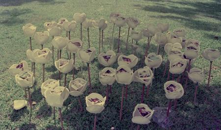 Don't Step on the Flowers (Set of 4 Photographs)