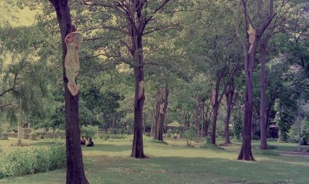 Spirit Hanging (Set of 4 Photographs)