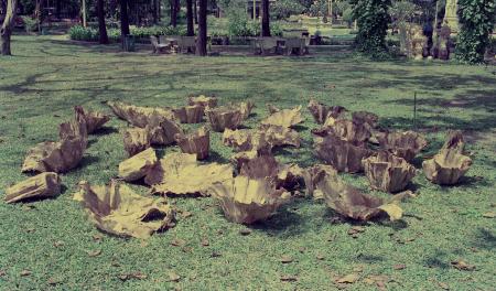 Untitled 'Offering' — Preparation (Set of 4 Photographs)