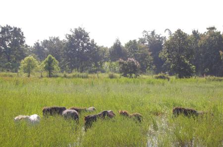 Womanifesto Residency Everyday Activities (Set of 115 Photographs)