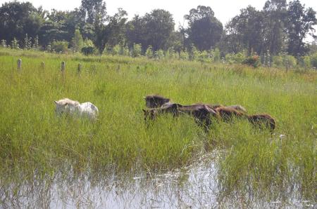 Womanifesto Residency Everyday Activities (Set of 115 Photographs)