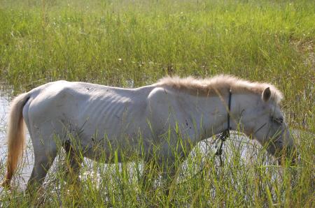 Womanifesto Residency Everyday Activities (Set of 115 Photographs)