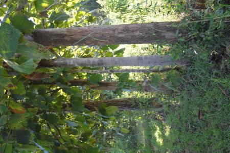 Womanifesto Residency Everyday Activities (Set of 115 Photographs)