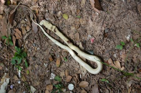 Womanifesto Residency Everyday Activities (Set of 115 Photographs)