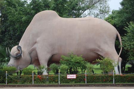 Field Trip to Wat Phra Tart Ruerng Rong Temple (Set of 40 Photographs)