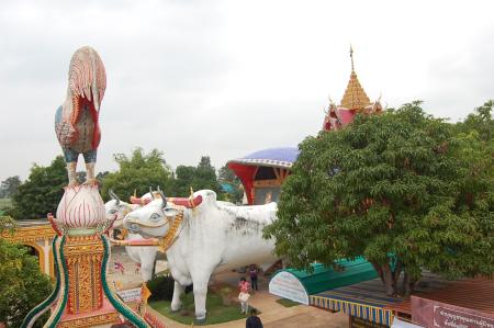 Field Trip to Wat Phra Tart Ruerng Rong Temple (Set of 40 Photographs)