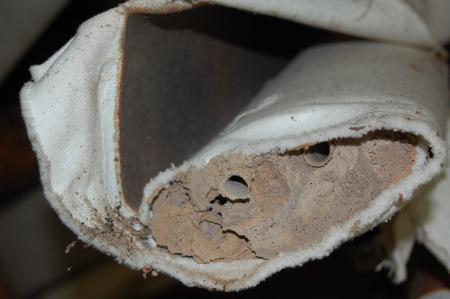 Womanifesto Residency Everyday Activities (Set of 115 Photographs)