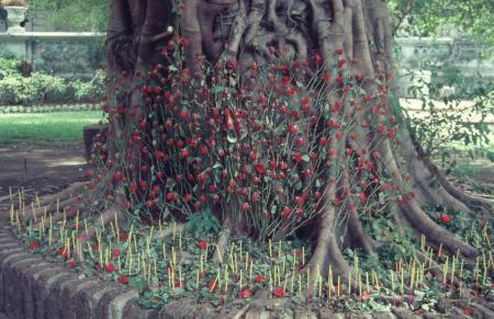 Women's Cemetery (Set of 4 Photographs)