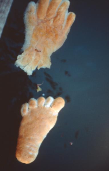 Equality (Set of 2 Photographs)