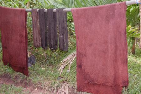 Making of Plant-based Dyes by Pan Parahom (Set of 10 Photographs)